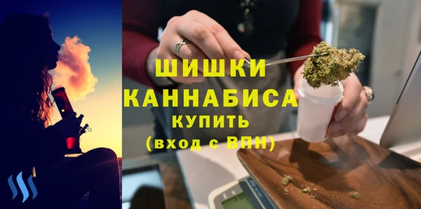 МДПВ Чекалин