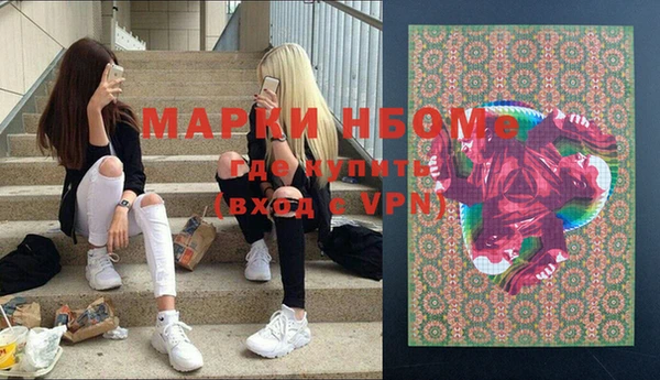 прущие грибы Чердынь